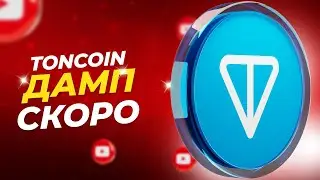 Будь осторожен с TONCOIN: Где лучшие цены для покупки?