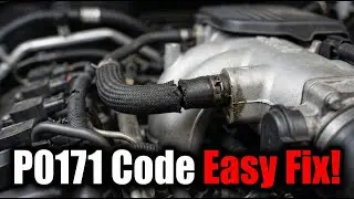 P0171 Code: Quick Diagnostic Guide (System Too Lean Bank 1)