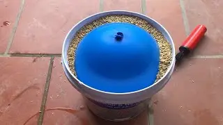 气球和水桶做的捕鼠神器，几十只老鼠一网打尽。