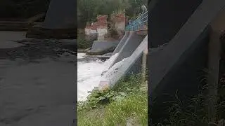 Оредеж Дамба Сапы 