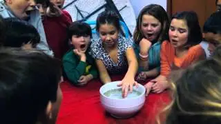 Cajun Magic Academy