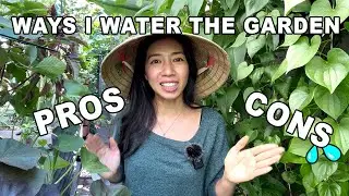 Why You Should Consider Low Tech To High Tech RainPoint Watering