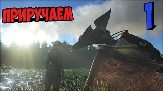 ARK Survival Evolved►Выживание►приручаем птера► часть 1
