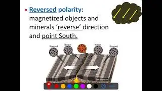 Magnetic Reversals