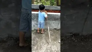 belajar mancing#shorts #shortsfeed #subscribe