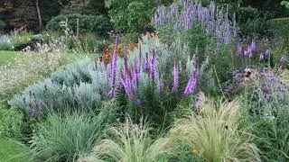 Vlindervriendelijke tuin in Hellendoorn. Ga voor meer info naar https://www.exclusievetuinen.nl