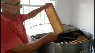 Colheita de mel de eucalipto 4/4