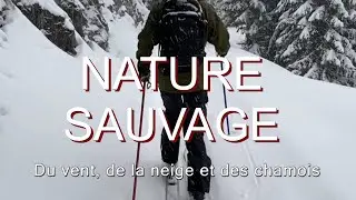 2021 Nature sauvage