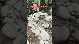 Pollinator Waterfall comes to LIFE