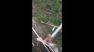 Rabbit Hopping (Jumping) Practice