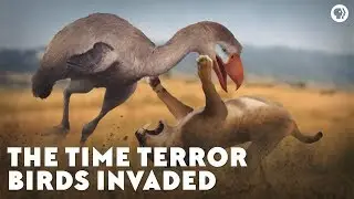 The Time Terror Birds Invaded