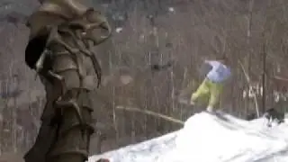 BREAKING NEWS Insect Attack at Windham