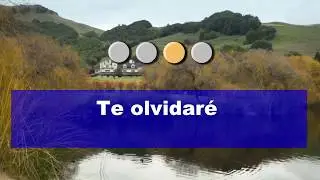 Guisella  - Lagrimas Karaoke