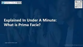 Explained in Under a Minute: What is Prima Facie?