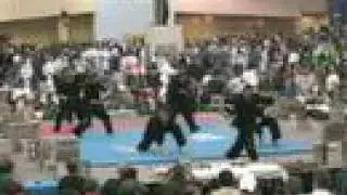 Team Bergamo at the Arnold Martial Arts Festival