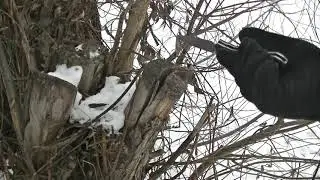 Тест замка ножа Enlan EL02B на складывание