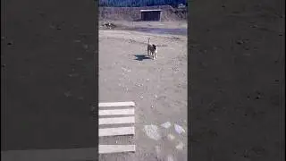 Граф