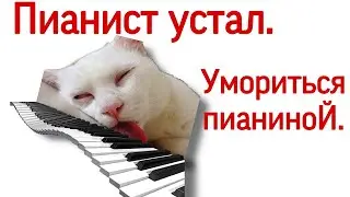 Когда пианистушка утомился. Пианист устал от уроков фортепиано. Как проявляется усталость пианиста?
