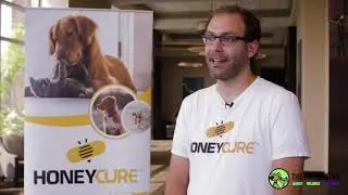 Honey Cure - Skin Salve