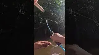 Parit Kecil Ini Ternyata Ada Iwaknya 😆 #mancingmania #fishingvideo