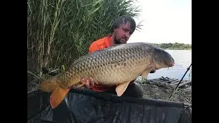 Ловля карпа летом на Марьевке. CARP PRO One 2019. Часть 4.