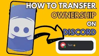 How To Transfer Ownership On Discord - Easy Guide 2025