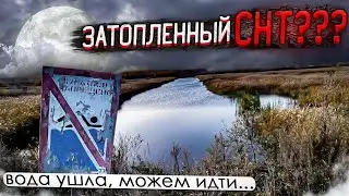 заброшенный снт
