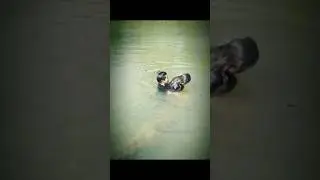 Mesum dalam air video lucu, tingkah anak jaman sekarang 