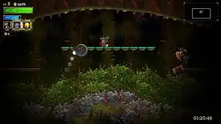 [Rogue Legacy 2] Automatons Scar as Astromancer hitless