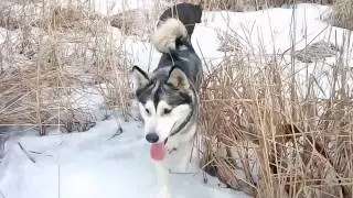 Мы на прогулке