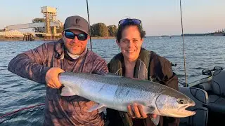 FISH ON LIVE! 360 Salmon Fishing.
