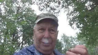 И по трещал и немного покопал