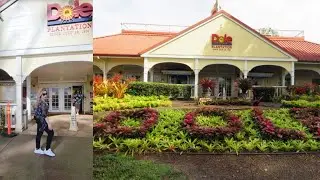 DOLE PLANTATION IN HAWAII