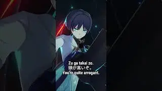 Wanderer Combat Voices