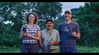 Reforestation in Nicaragua – CommuniTree and myclimate