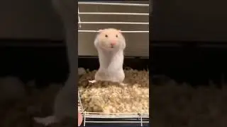 МОТИВАЦИЯ ДОЛЖЕН БЫТЬ ВСЕГДА МОТИВАЦИЮ НАДО ПОДНЯТЬ 