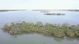 BonitaBnMarco