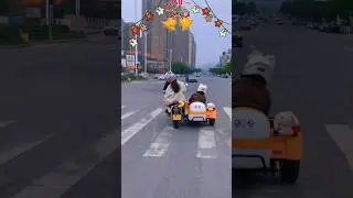 Turn left !!! She was asleep😴😂🤣 