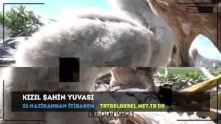 Kızıl Şahin Yuvası | Fragman