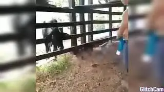 Такого вы не увидите НЕ ГДЕ!!!! ШОК