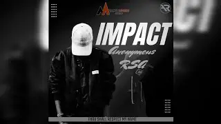 Anonymous RSA-Impact(Visualizer)