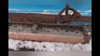 Три месяца зимовки. Контроль.