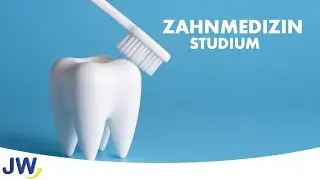 Das Studium der Zahnmedizin im Überblick!