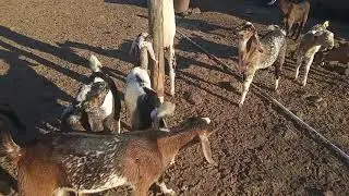 VID 20191123 115535