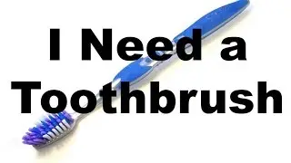 I Need a Toothbrush Minecraft Version