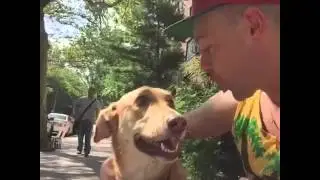 Dubsmash: Seinfeld, Dingo Ate Your Baby
