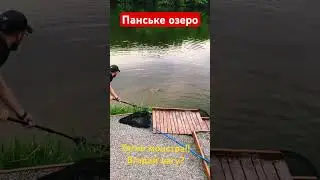 ‼️ Панське озеро ‼️ рибалка на лобатого від Насті