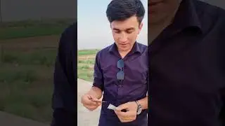 21 июня 2024 г.
