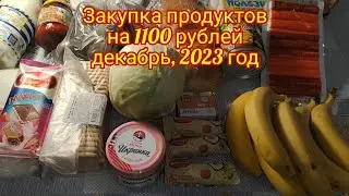 Закупка продуктов на 1100 рублей, декабрь 2023 год . Цены перед Новым Годом в Волгограде