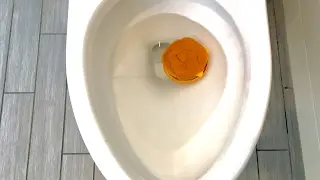 Will it Flush? - McDonald's Cheeseburger